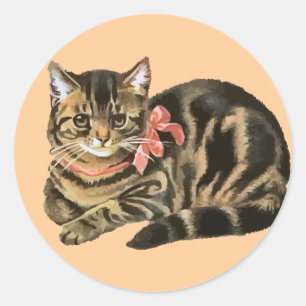 Cute Tabby Calico Cat / Kitten Sticker