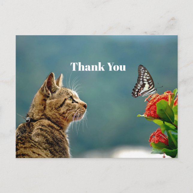 Cute Tabby Cat Butterfly Photo Thank You Postcard (Front)