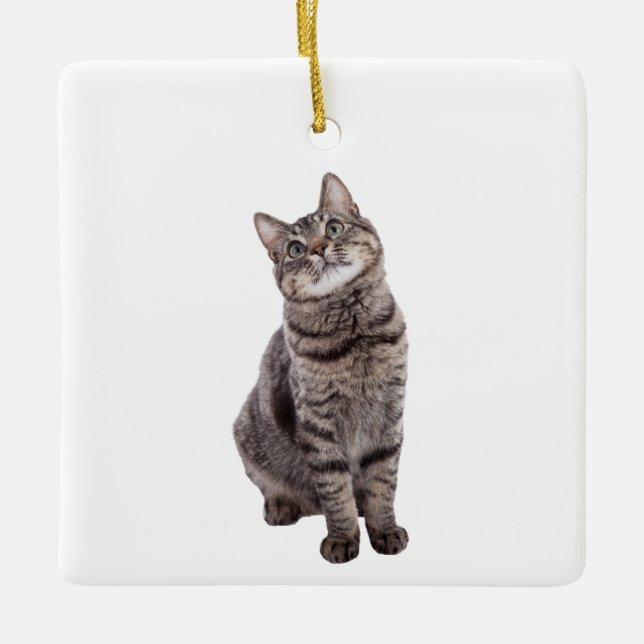 Cute Tabby Cat Ceramic Ornament (Front)