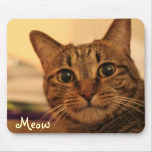 Cute tabby cat face mousepad