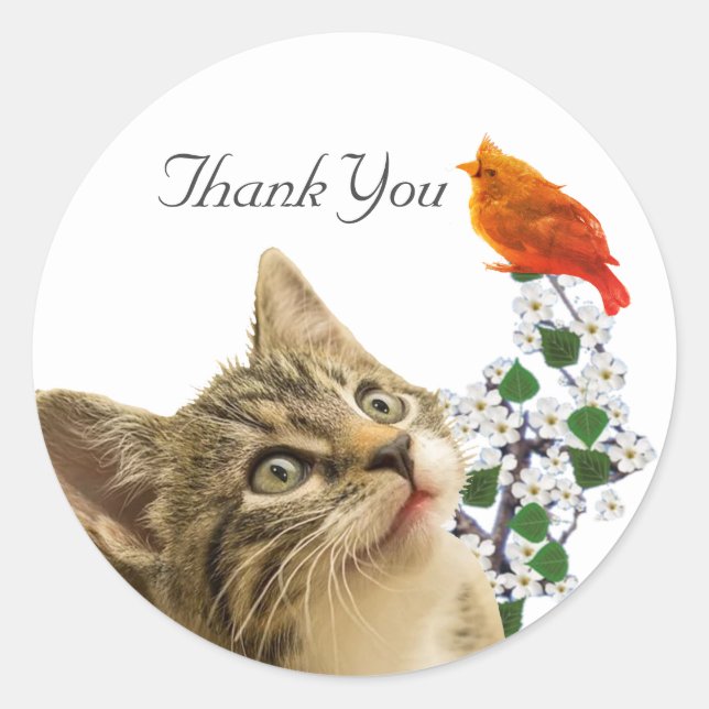 Cute Tabby Cat, Flowers & Little Bird Thank You Cl Classic Round Sticker (Front)