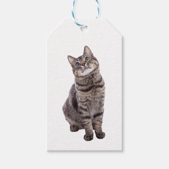 Cute Tabby Cat Gift Tags (Front)