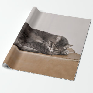 Cute Tabby Cat Grey Sleeping On Box Wrapping Paper