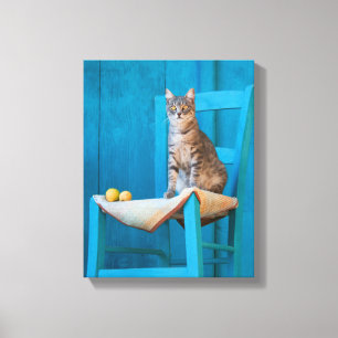 Cute Tabby Cat Kitten on a Blue Chair Photo Canvas Print