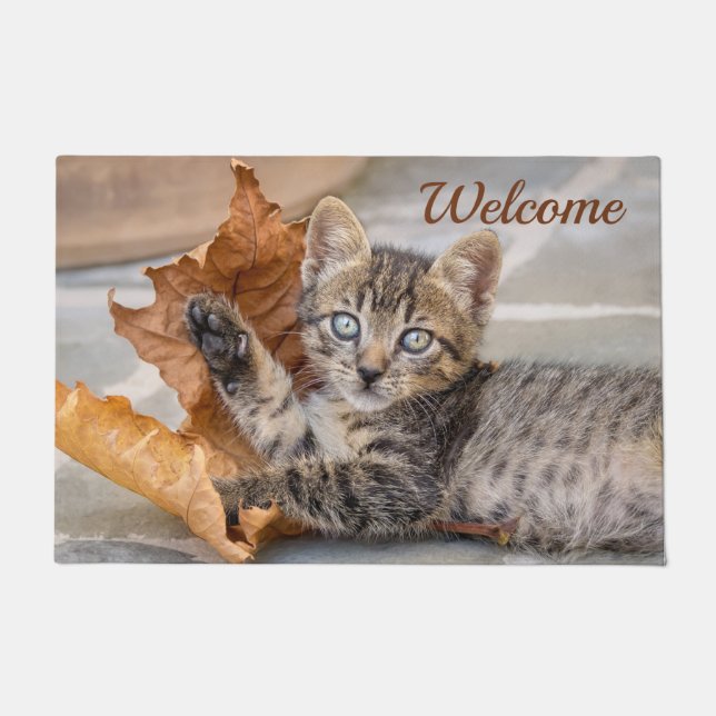 Cute Tabby Cat Kitten Playing With a Leaf Doormat (Front)