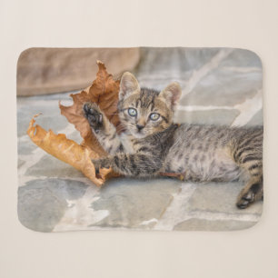 Cute Tabby Cat Kitten Playing With a Leaf - Sherpa Blanket