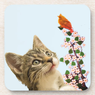 Cute Tabby Cat & Little Bird on Light Blue Coaster