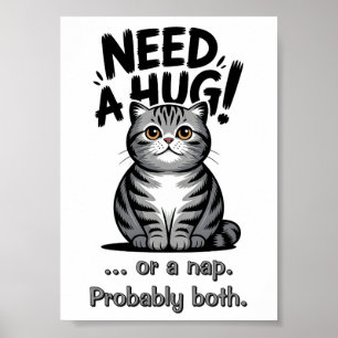 Cute Tabby Cat Need A Hug Funny Animal Poster