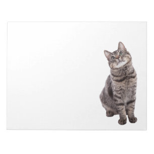Cute Tabby Cat Notepad