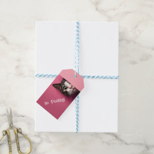Cute Tabby Cat Peeks Gift Tags