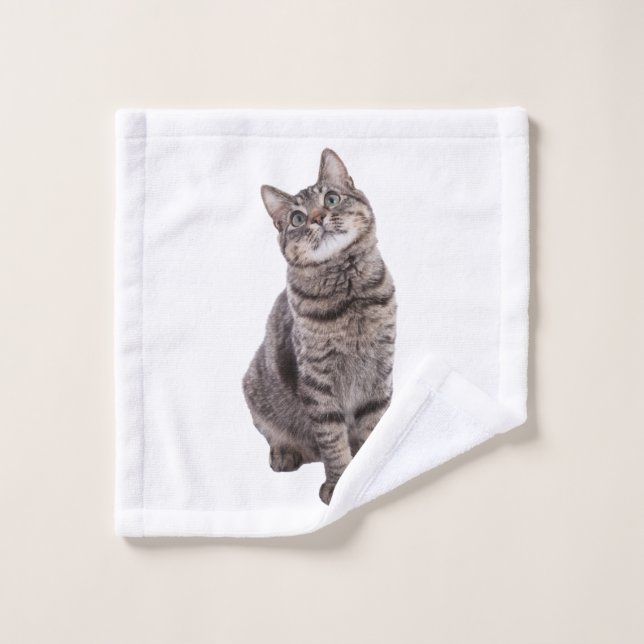 Cute Tabby Cat Wash Cloth (Wash Cloth)