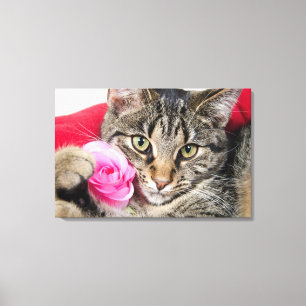 Cute Tabby Cat With Rose Canvas Print