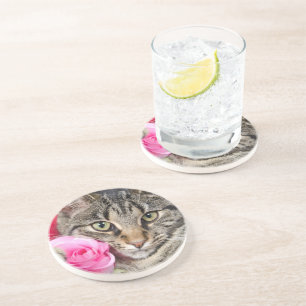 Cute Tabby Cat With Rose Coaster