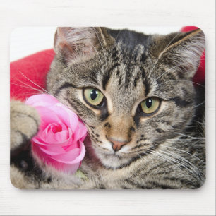 Cute Tabby Cat With Rose Mouse Mat
