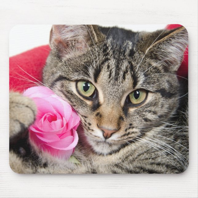 Cute Tabby Cat With Rose Mouse Mat (Front)