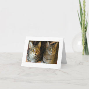 Cute Tabby Cats Happy Birthday  Card