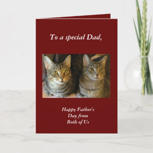 Cute Tabby Cats Red Father's Day  Card