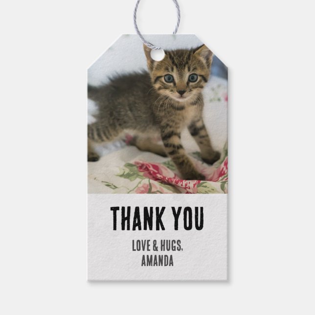 Cute Tabby Kitten Looking Surprised on Thank You Gift Tags (Front)