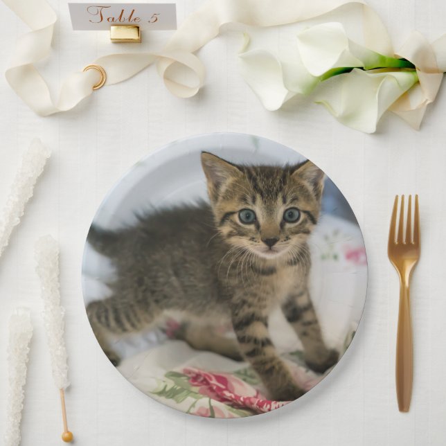  Cute Tabby Kitten Looking Surprised Paper Plate (Wedding)