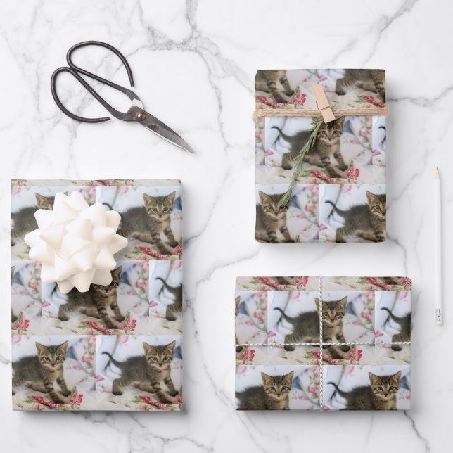 Cute Tabby Kitten Looking Surprised Patterned Wrapping Paper Sheet (Front)