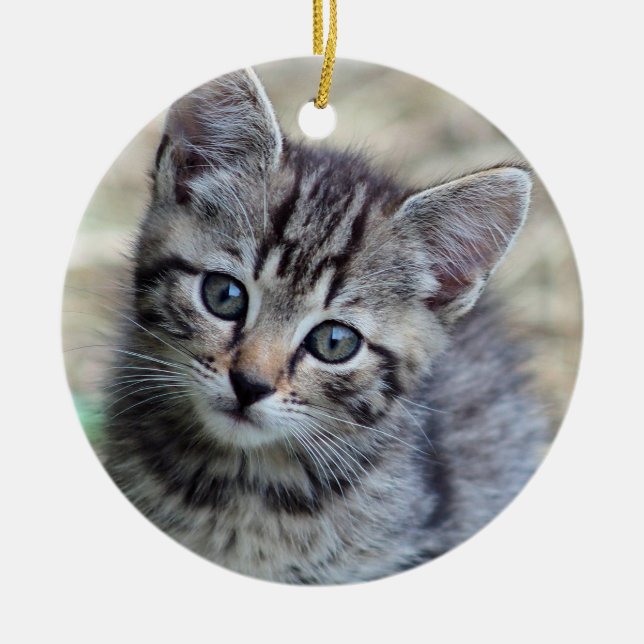 Cute Tabby Kitten Photo Ceramic Tree Decoration (Front)