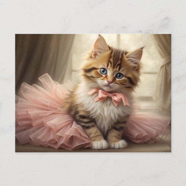 Cute Tabby Kitten Wearing a Pink Tutu Postcard (Front)