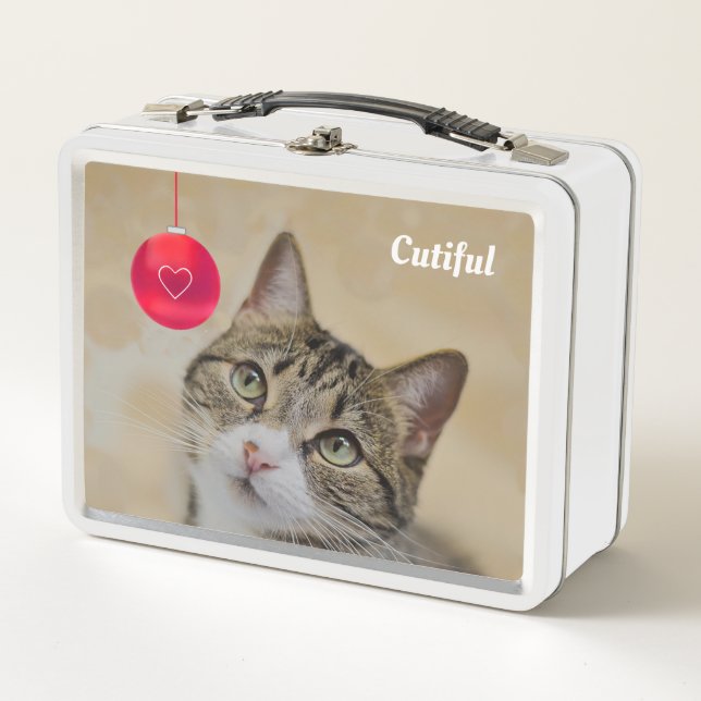 Cute Tabby Kitty Cat & Red Ball Metal Lunch Box (Front)