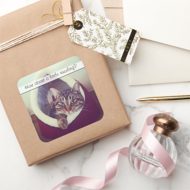 Cute Tabby Kitty In Hut Photograph Template Square Sticker (Gifting)