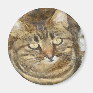 Cute Tabby Looking Up Pencil Sketch Magnet
