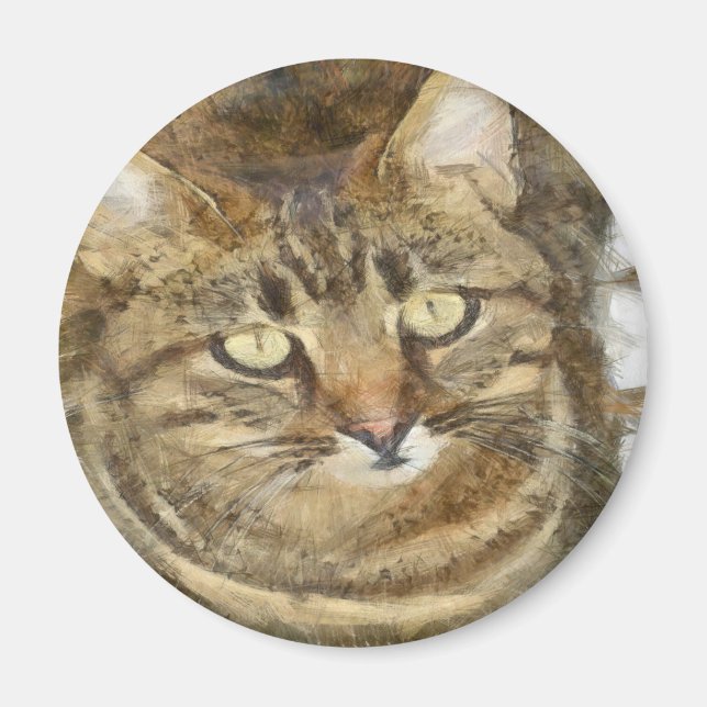 Cute Tabby Looking Up Pencil Sketch Magnet (Front)