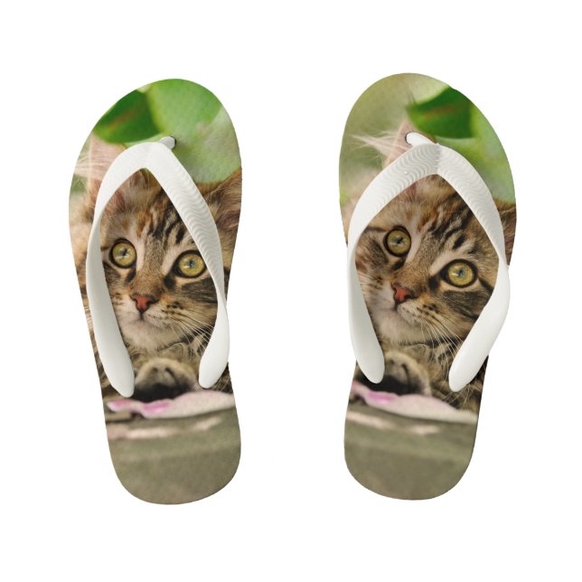 Cute Tabby Maine Coon Cat Kitten Fluffy Photo Kids Kid's Flip Flops (Footbed)