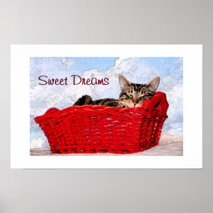 Cute Tabby Sleeping Kitten Red Basket Photograph Poster