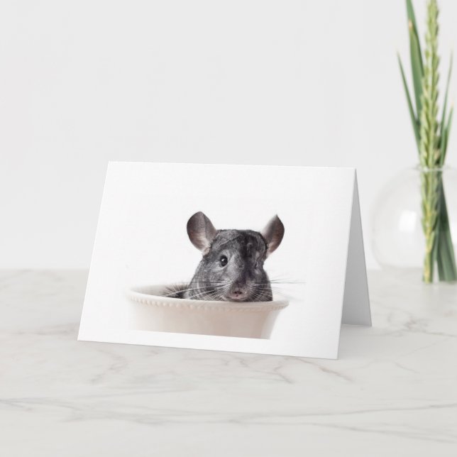 Cute Teacup Chinchilla Grey Card (Front)