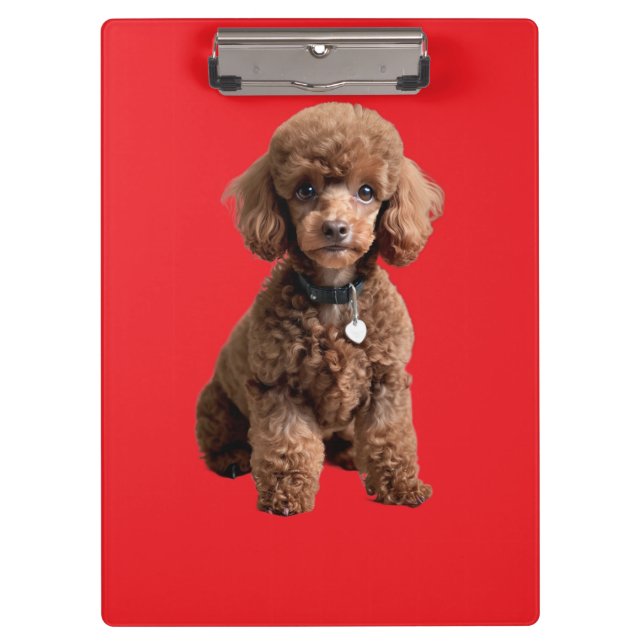 Cute Teacup Poodle Red Folder Clipboard (Front)