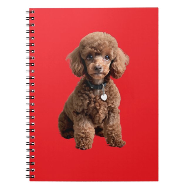  Cute Teacup Poodle Red Folder Notebook (Front)