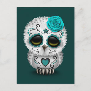 Cute Teal Day of the Dead Sugar Skull Owl Postcard