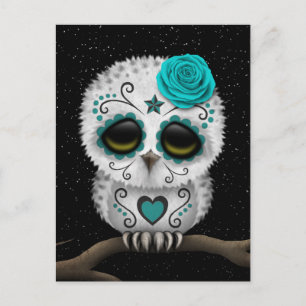 Cute Teal Day of the Dead Sugar Skull Owl Stars Postcard