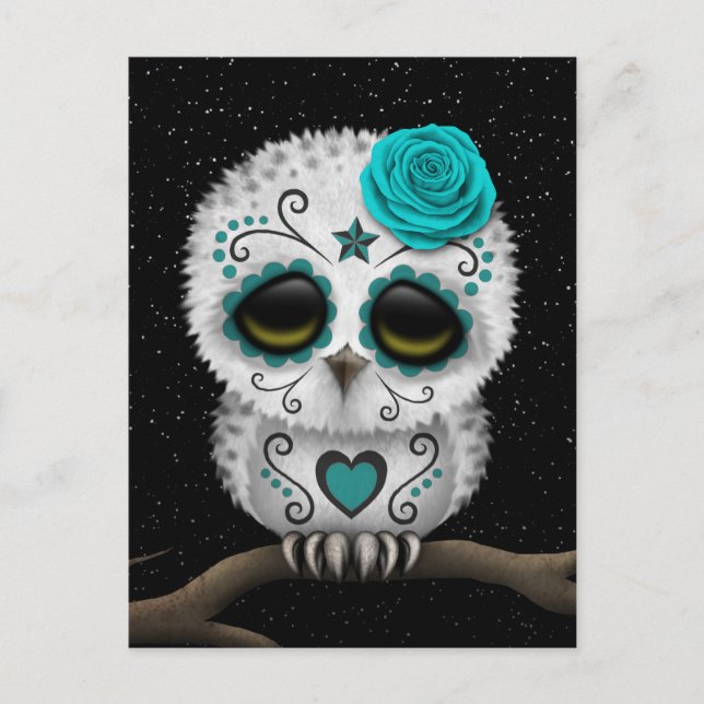 Cute Teal Day of the Dead Sugar Skull Owl Stars Postcard (Front)
