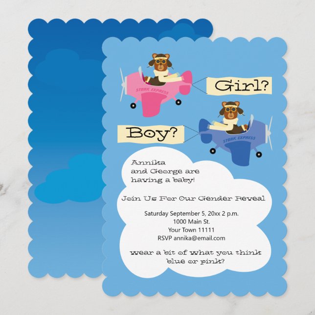 Cute Teddy Bear Pilots Aeroplane Gender Reveal Invitation (Front/Back)