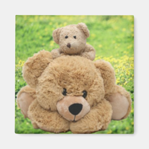 Image of Cute Teddy Bears In A Meadow Magnet