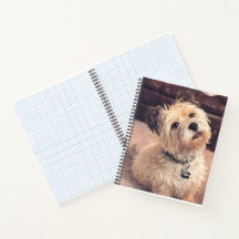 Cute Terrier Dog Small Notepad