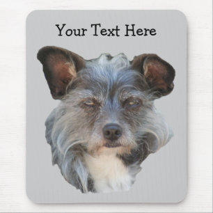 Cute Terrier Mixed Breed Mutt Dog Mousepad