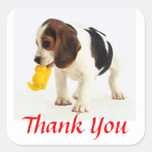 Cute Thank You  Beagle Puppy Dog Greeting Stickers