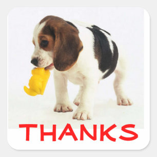 Cute Thank You Beagle Puppy Dog Greeting Stickers