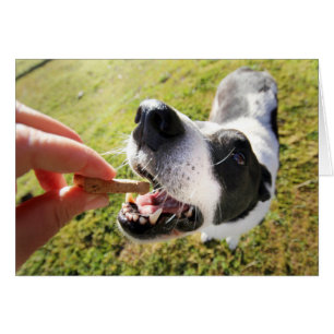 Cute Thank You For Pet Sitting Puppy Treat Card