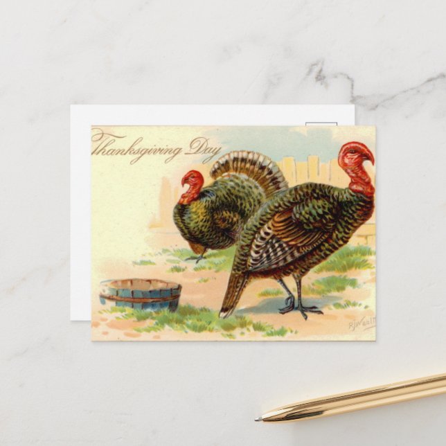 cute Thanksgiving Holiday vintage turkey Postcard (Front/Back In Situ)