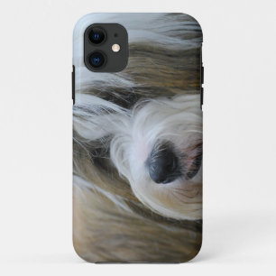 Cute Tibetan Terrier Dog iPhone 11 Case