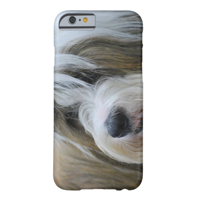 Cute Tibetan Terrier Dog Case-Mate iPhone Case (Back)