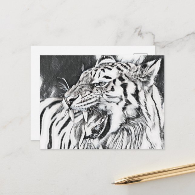 cute tiger animal lovers postcard (Front/Back In Situ)