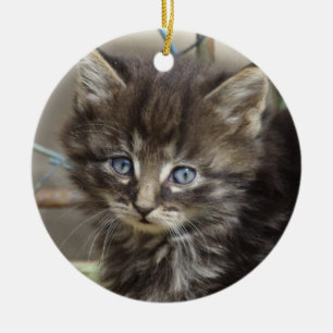 Cute Tiger-Cat Kitten Ceramic Tree Decoration